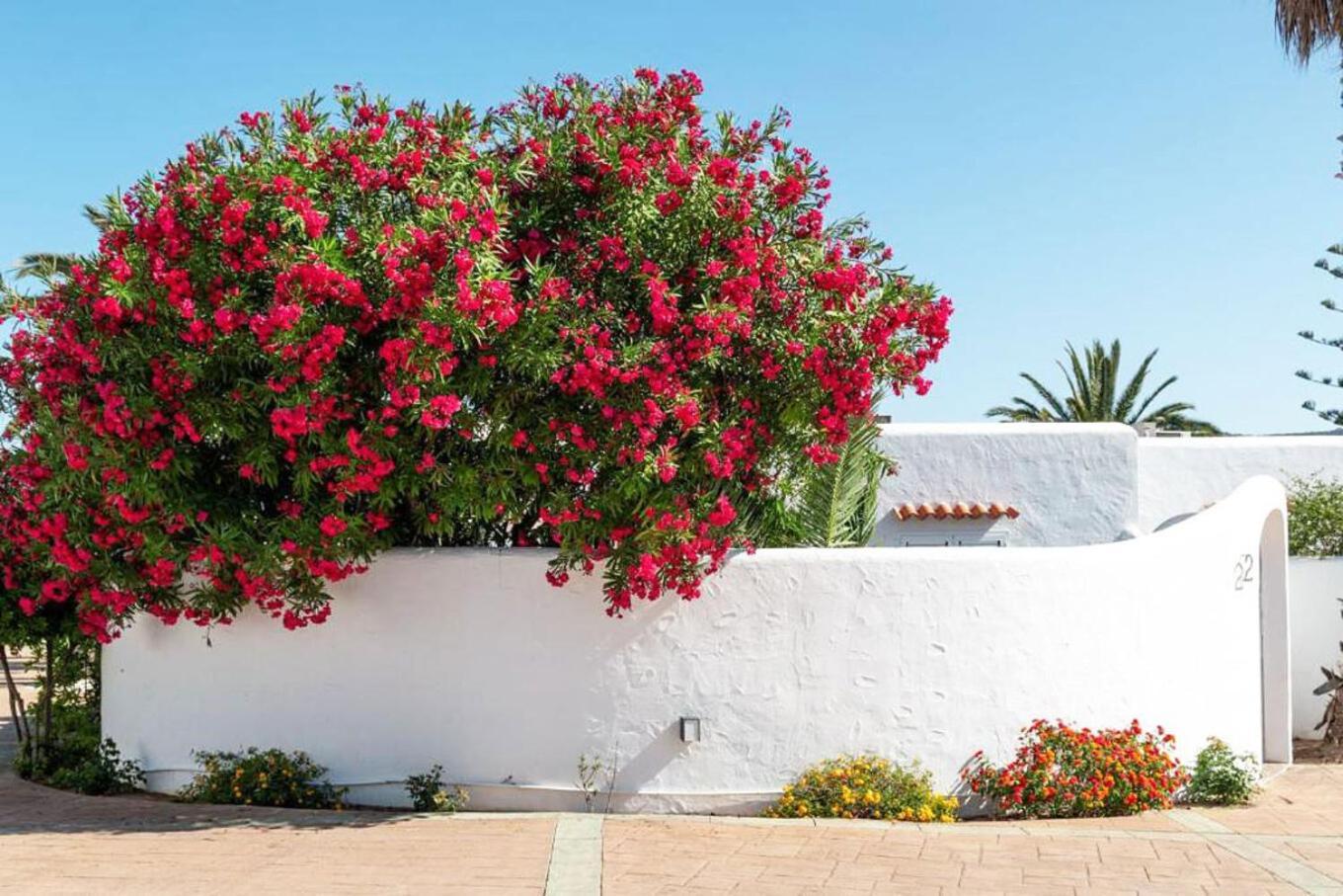 Residencial Bogamari Villa Sant Antoni de Portmany Екстериор снимка
